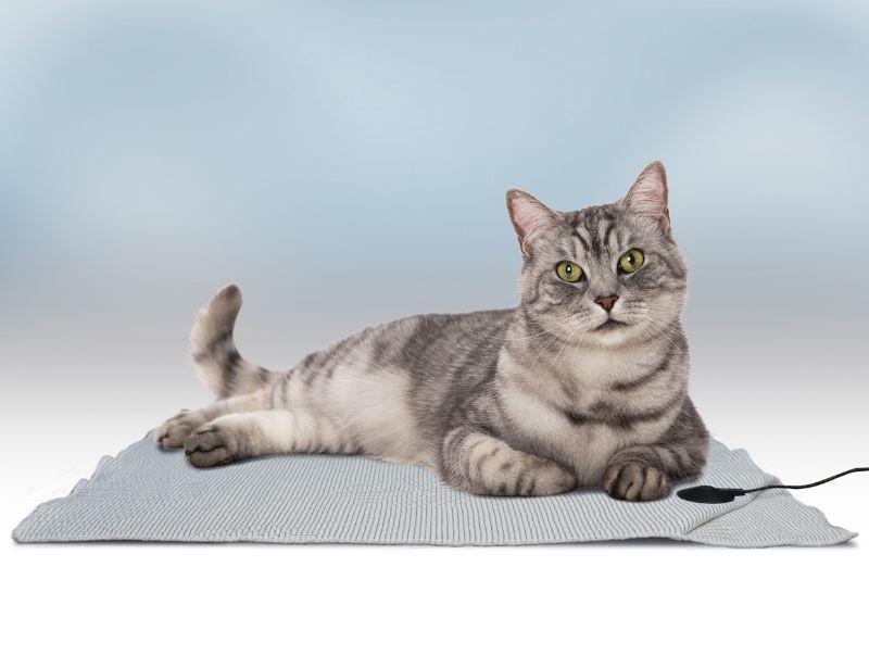 BioShield Pet Floor Mat